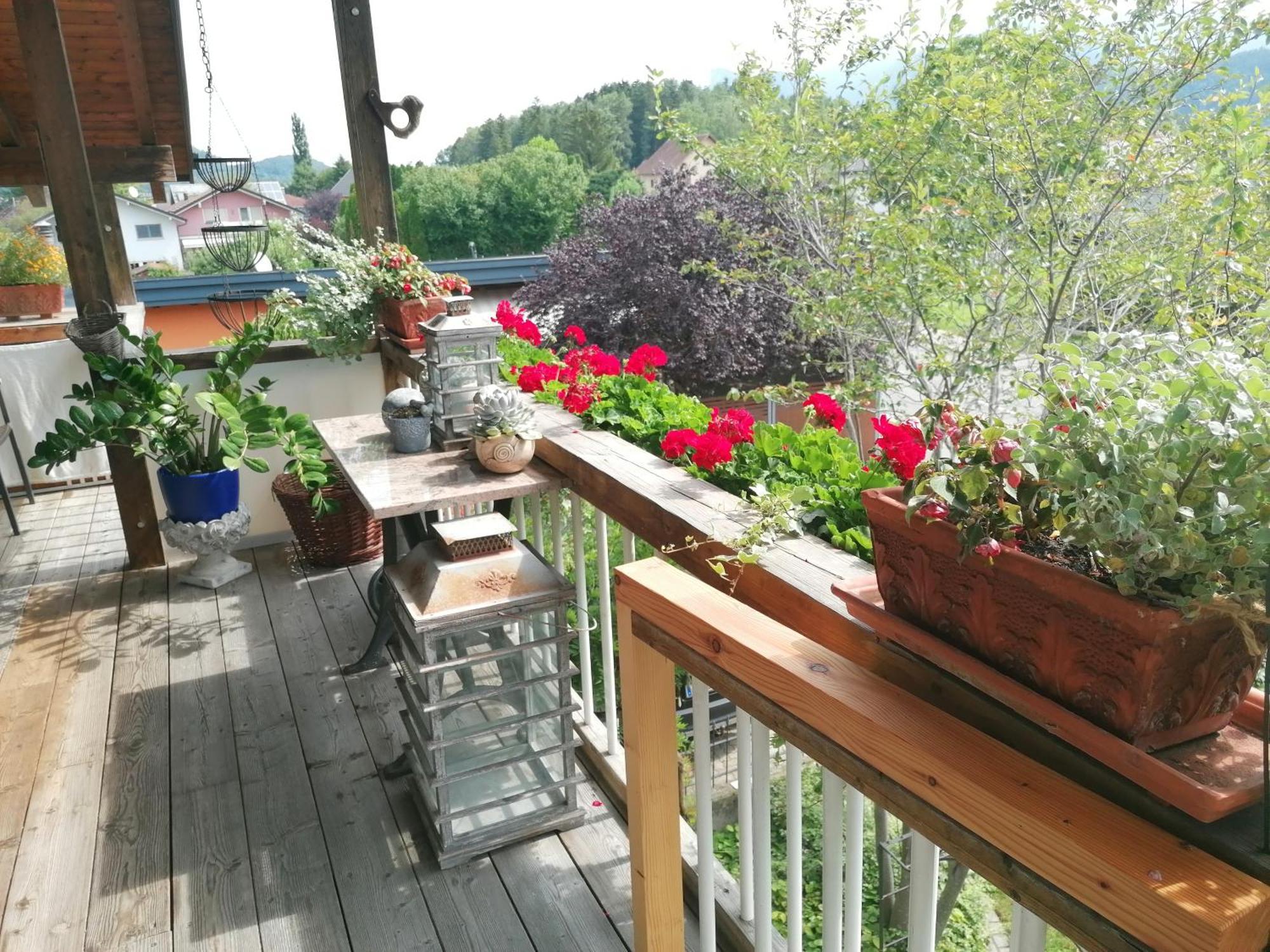 Ferienwohnung Am Rhein Koblach Eksteriør billede